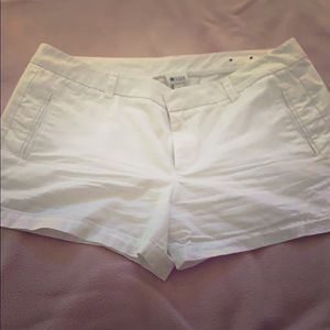Size 16 all cotton short